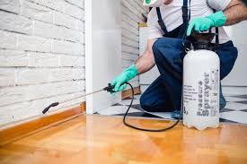 Best Residential Pest Control  in Rawlins, WY